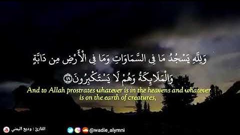 الشيخ وديع اليمني( ولله يسجد ما في السماوات وما في الأرض)من اروع التلاوات
