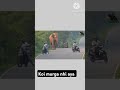 Koi murga na aya 🤣#trending#funny#dubbing#comedy#new#memes#viralvideo#shorts#video#elephant#newpost