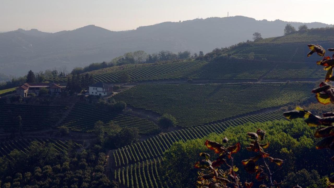 Cascina Arcangelo Raffaele, Verduno, Italy