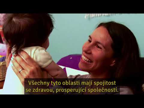 InBrief: The Science of Neglect (Czech subtitles)