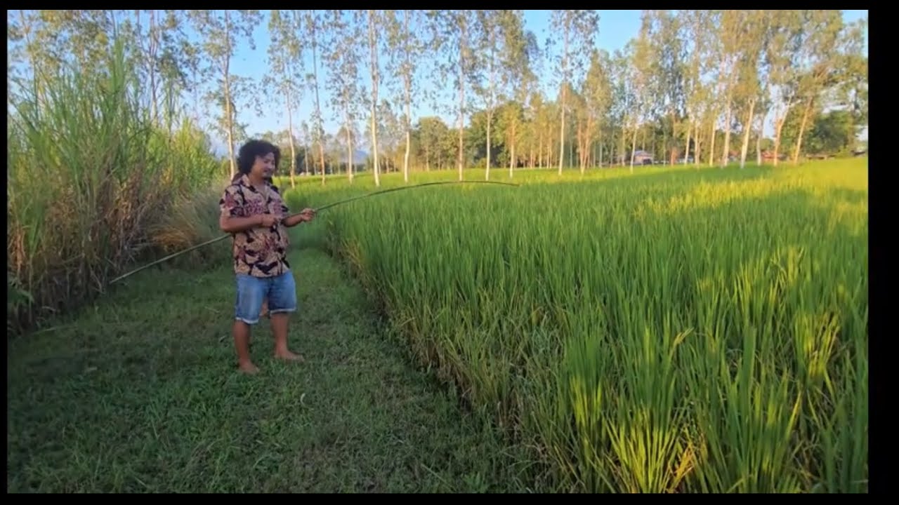 Bari ma local maxa mardai in local fishing techniques 