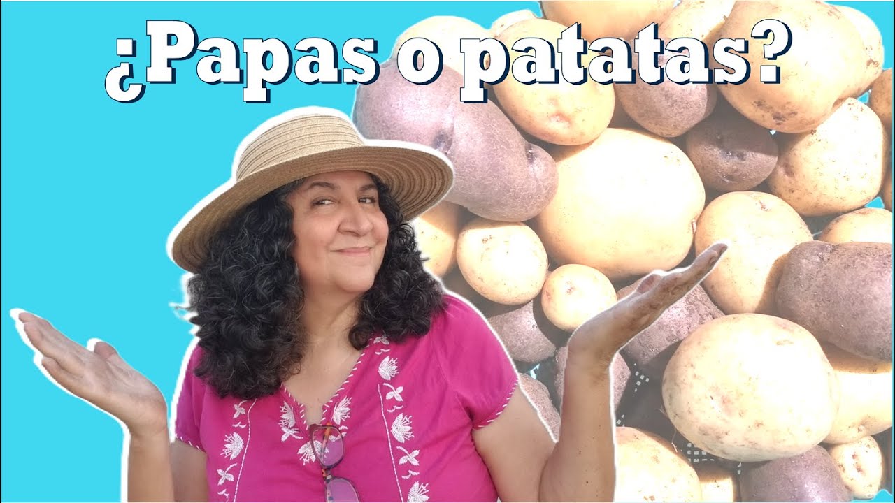 COSECHA de papas o PATATAS en maceta | ¿Éxito o fracaso?