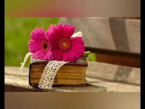 الحب ابتدا  