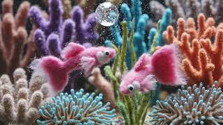 Pink fish explore coral reef 202606172023
