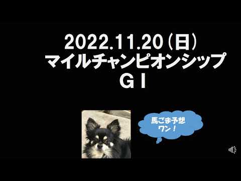 マイルCS予想