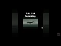 Delta Airlines flight 723 crash animation with CVR (longer version)
