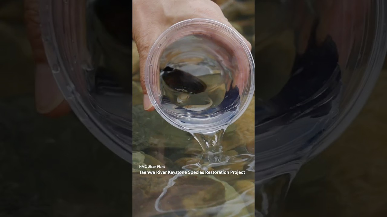 2025 Environmental CSV Campaign ‘Colorful Life’ | Hyundai Continue | 