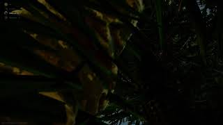 EFT net code