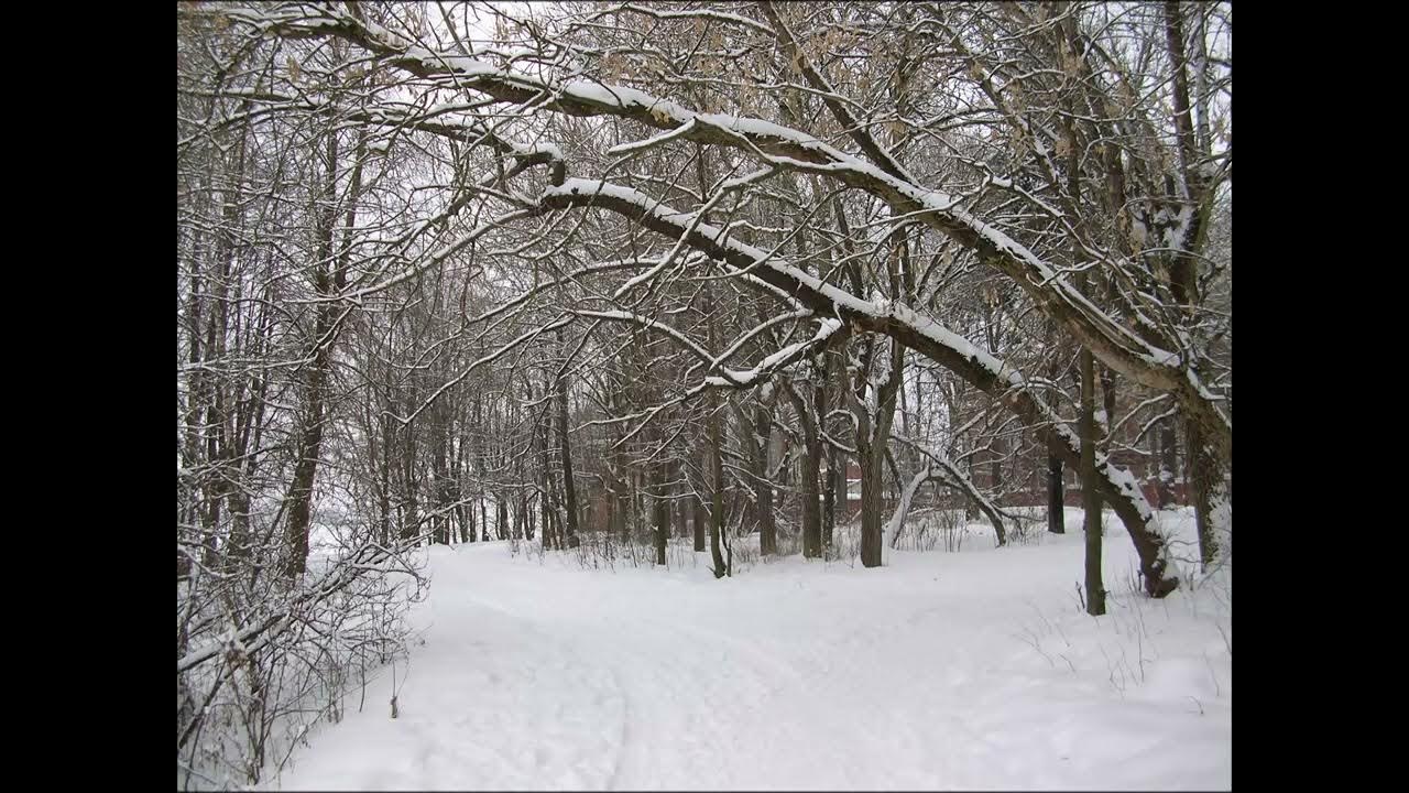 снежинки на ресницах. снег расставание. зима любовь. метет метель. девушка в снегу.