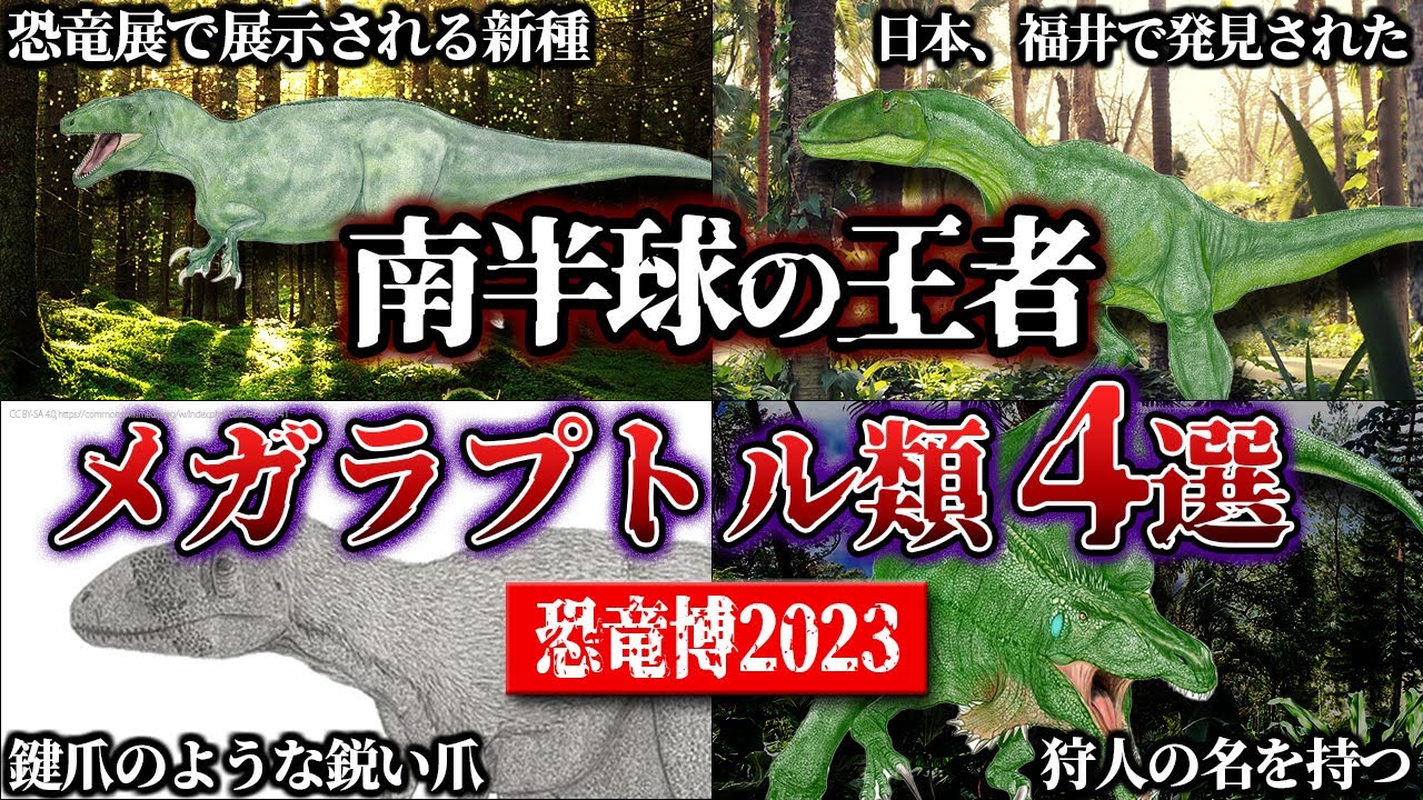 【ゆっくり解説】2023恐竜博特集②　巨大なラプトルってどんな生物？　メガラプトル類