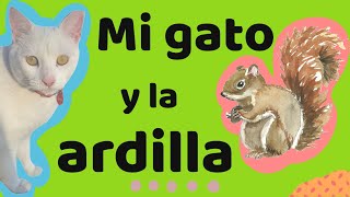 🔴 Gato vs Ardilla 🔴 by Mosque Gatitos 695 views 2 years ago 56 seconds