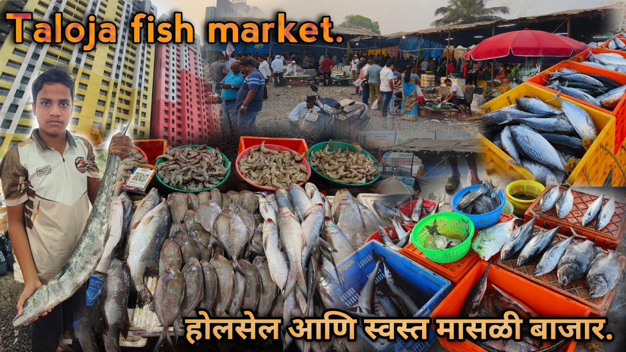 Taloja wholesale fish market | तलोजा फिश मार्केट 📌लोकेशन चेंज मासळी स्वस्त.