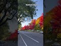 Upstate New York