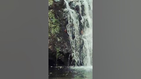 Waterfall Sounds for Relaxation, Bird Sounds, Water Sounds #shorts #naturesounds #birds