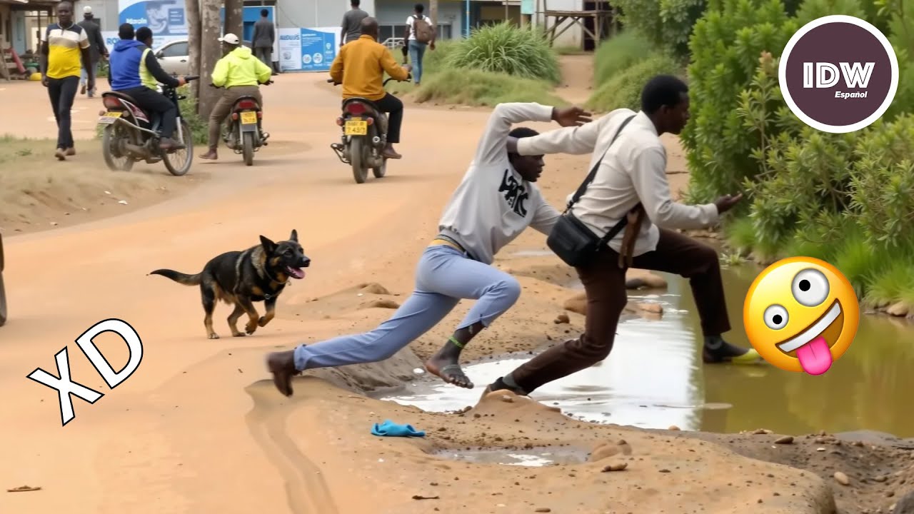 SI TE RÍES PIERDES NIVEL DIOS #230 🤣 VIDEOS DE RISA 😎HUMOR VIRAL MEXICANO🤣