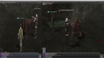 FFXI Eden: DB BCNM Petrifying Pair