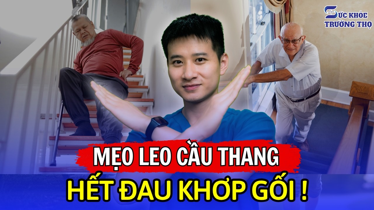 Đau Khớp Gối Có Nên Đi Cầu Thang Không? Mẹo Vàng Giúp Leo Cầu Thang Hết Đau Nhức