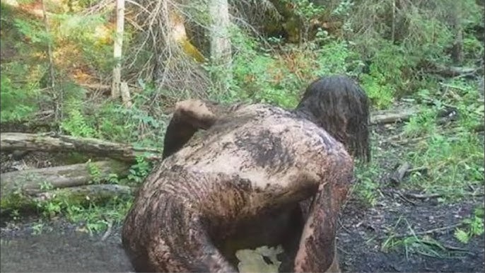 TRAIL CAM VIOLENTLY ATTACKED, PREDATOR RUNS! - YouTube