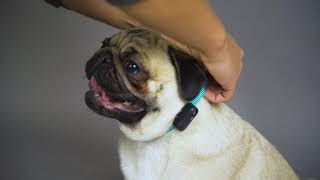 Tickless Mini chemical-free tick&flea repeller
