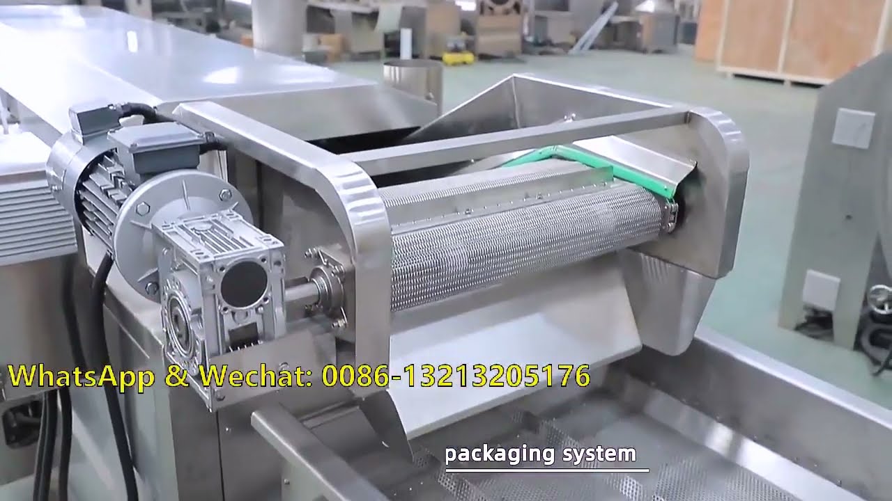 Frozen French Fries & Potato Chips Production Line / Línea de producción de papas fritas y chips