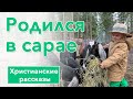 🟢 Родился в сарае - ИНТЕРЕСНЫЙ ХРИСТИАНСКИЙ РАССКАЗ | Христианские рассказы