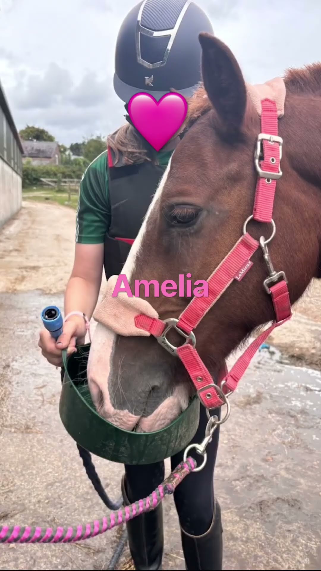 Amelia and amber + Amelia and twinkles my two of my favourites