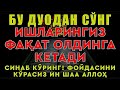 Healing From The Qur An A Powerful Prayer Cure For 1001 Anxiety Diseases Syeh Ismail An Naour 