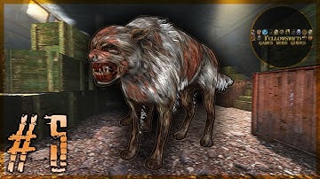 STALKER Anomaly Mod | The Arena & Cordon | Travel Diary #5