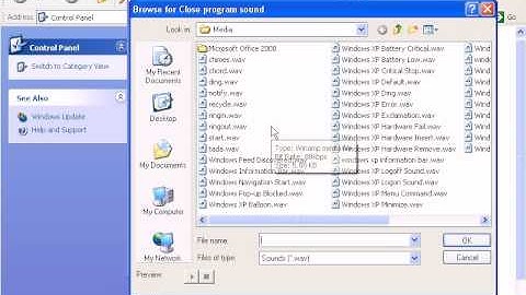 More Advanced Features Of Windows XP - Windows Control Panel Options For Sound And Audio Devices