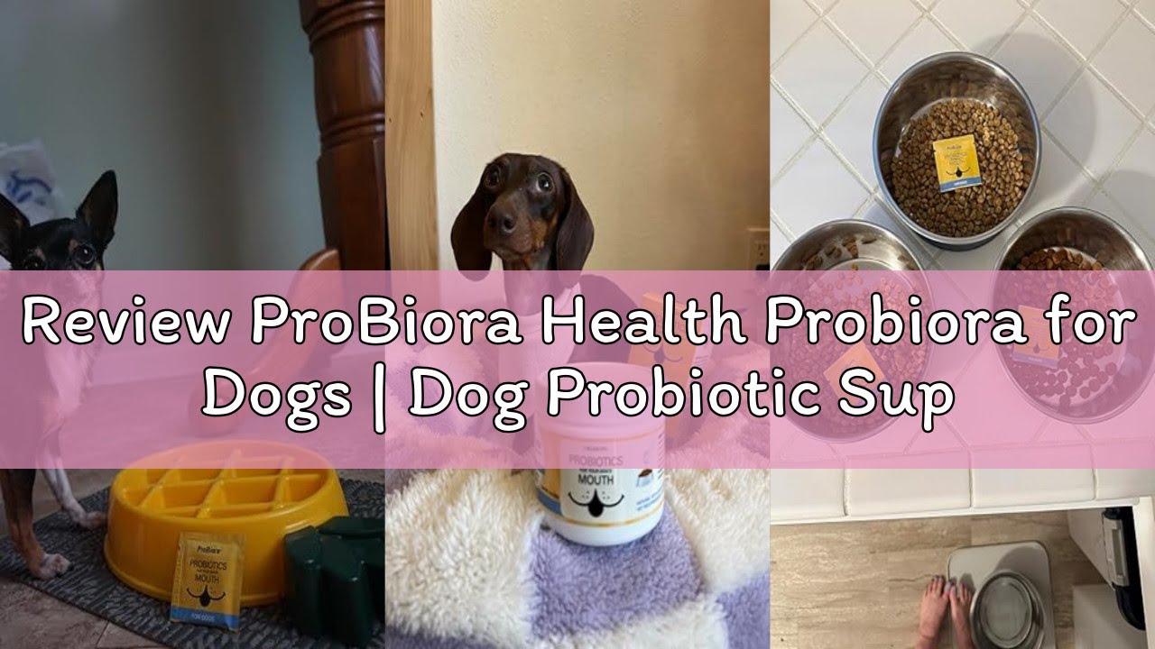 Review ProBiora Health Probiora for Dogs | Dog Probiotic Supplement for Oral Care | Pet Probiotics t