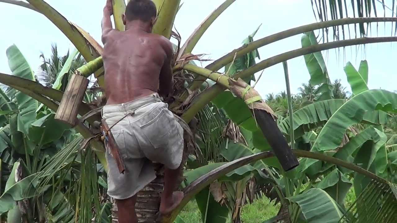 Austin collects tuba vid 14