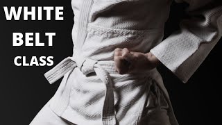 Taekwondo Follow Along Class - White Belt - Lesson 8 screenshot 3