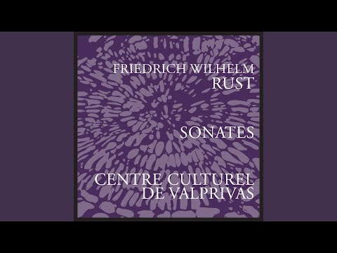 Piano Sonata No. 11 in F-Sharp Minor: III. Allegretto bekijken op YouTube
