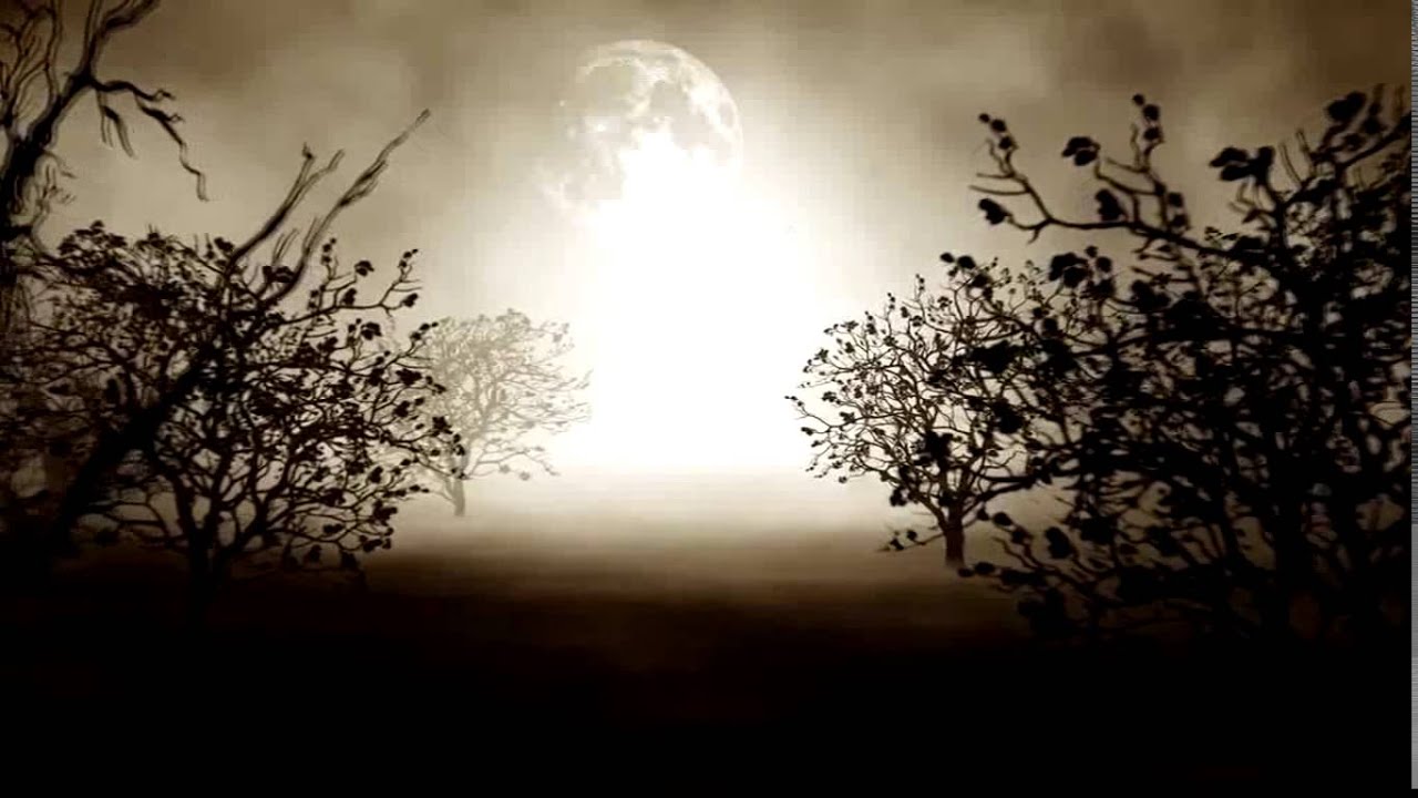 17 - "Fuiste Tú" - Ricardo Arjona feat. Gaby Moreno