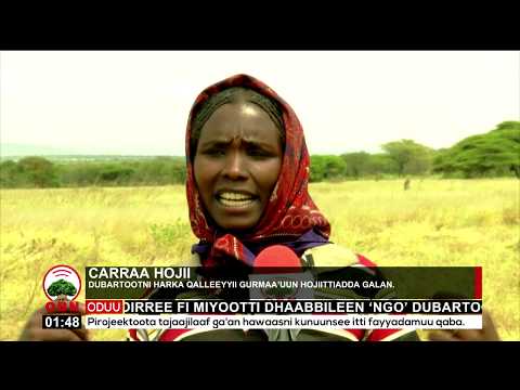 Booranatti Dubartoonni Milkaa Aa Jiru 20 10 2012