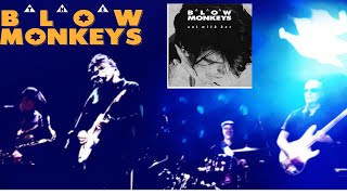 The Blow Monkeys - Out With Her (Lowther Pavilion, Lytham)