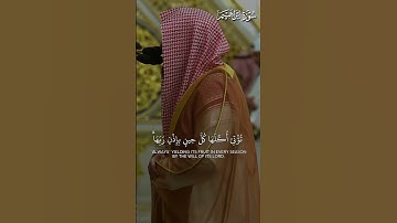 تلاوة هادئة للشيخ #عبدالله_القرافي | #اكسبلور #كتب #تلاوات #دويتو #القرآن_الكريم #تلاوة_خاشعة #لايك
