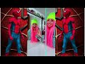 Funniest spider slack best tiktok compilation  funnys