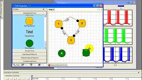 AnimatLab Network Oscillators
