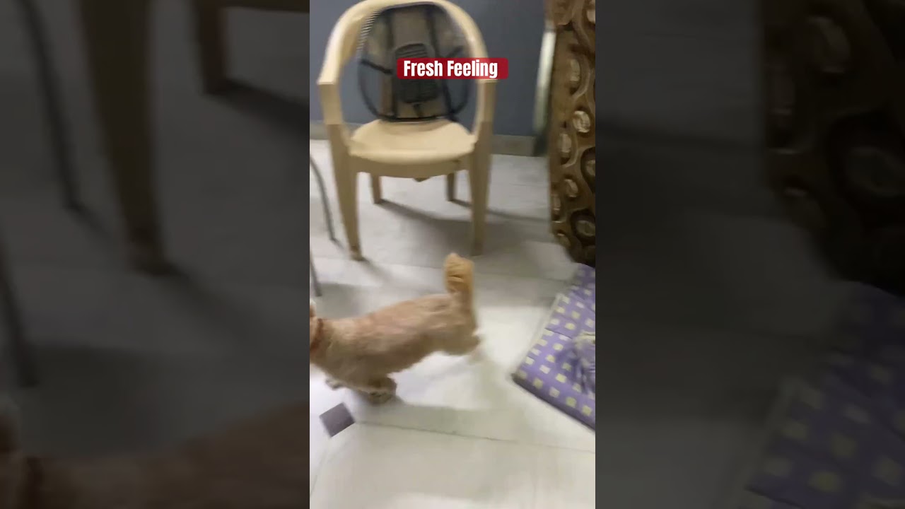 Good Feeling After Shower 