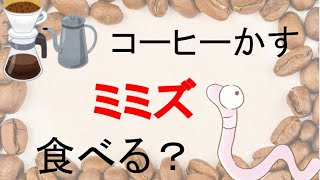 シマミミズはコーヒーカスを食べるのか 新潟ミミズ情報局 ミミズコンポストのすゝめ