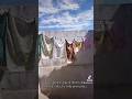 Un vídeo cotidiano con un fragmento de un poema mío titulado infortunios del siglo XXI