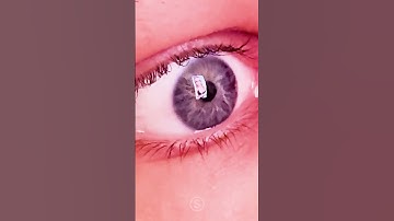 I can see in his eyes 😈 #funny #eyes