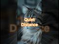 Distance With Intention