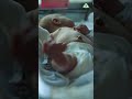 Normal Delivery | C-Section Delivery | Best Maternity Care at Shri Shakti Hospital 👶💖