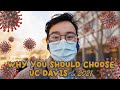 Why You Should Choose UC Davis in 2021 (COVID19, Spring Break Grant, Testing)