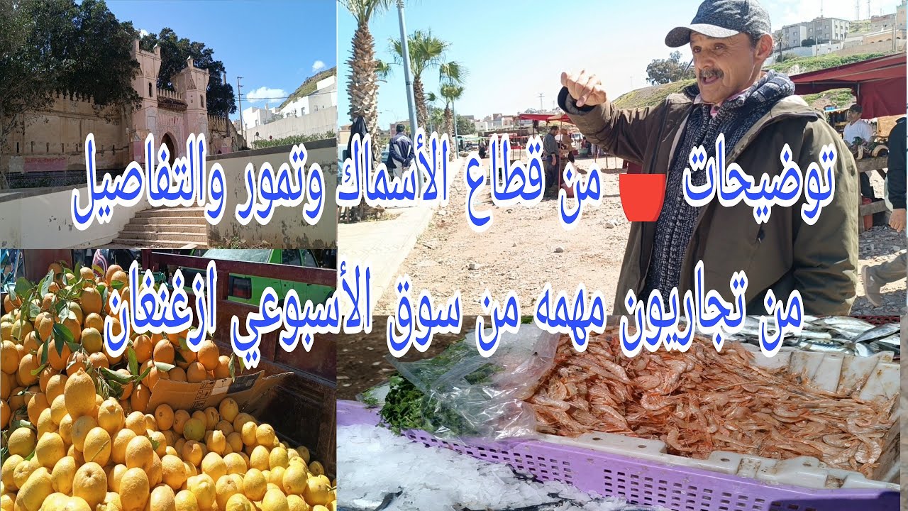 توضيحات 🔴 من قطاع الأسماك وتمور والتفاصيل من تجاريون مهمه من سوق الأسبوعي ازغنغان 