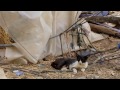 Strain Hunters Morocco French Subtitles