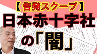 【告発スクープ】医療事故を放置 日本赤十字社の闇 - 正常脳を切除、禁忌の処置で…｜長谷川学｜#花田紀凱 #月刊Hanada 最新号読みどころ