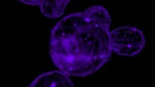 Famous Psychedelic 3d Blob Spawn Profile